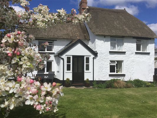 Thatched cottage